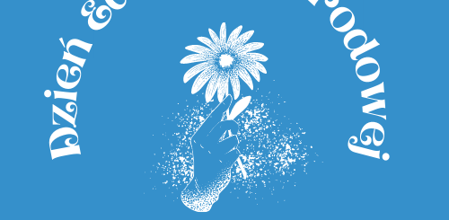 Dzień Edukacji Narodowej w IV Liceum Niebieskie tło, białe kwiaty